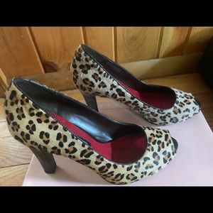 Brandolino - Leopard Print